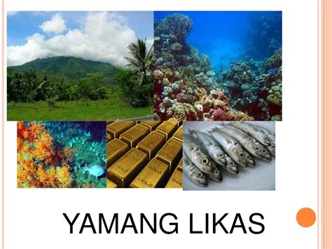 konserbasyon sa mga yamang likas slogan|AP 7 Lesson no. 2: Likas na Yaman ng Asya .